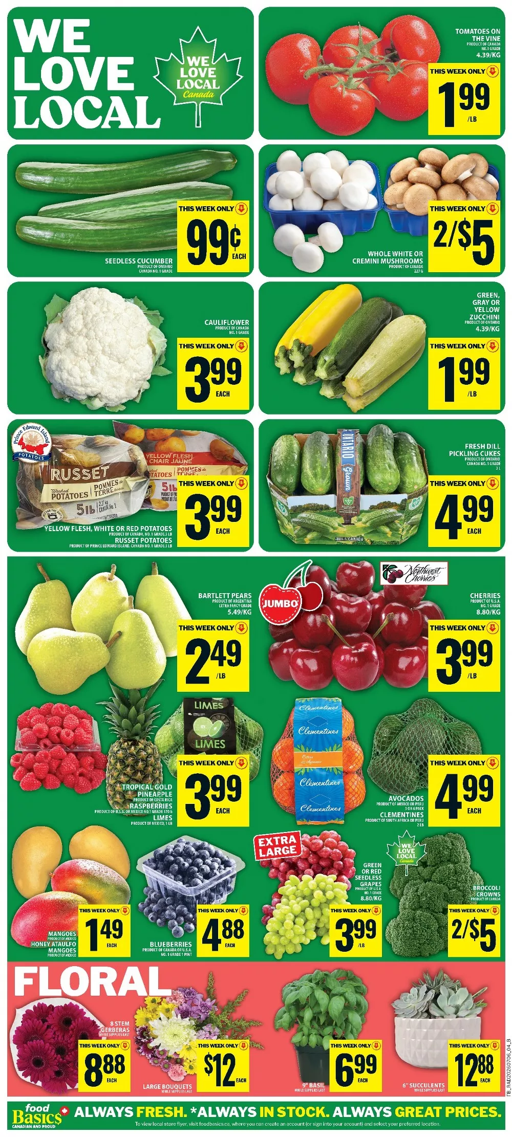 food basics flyer july 9 15 8