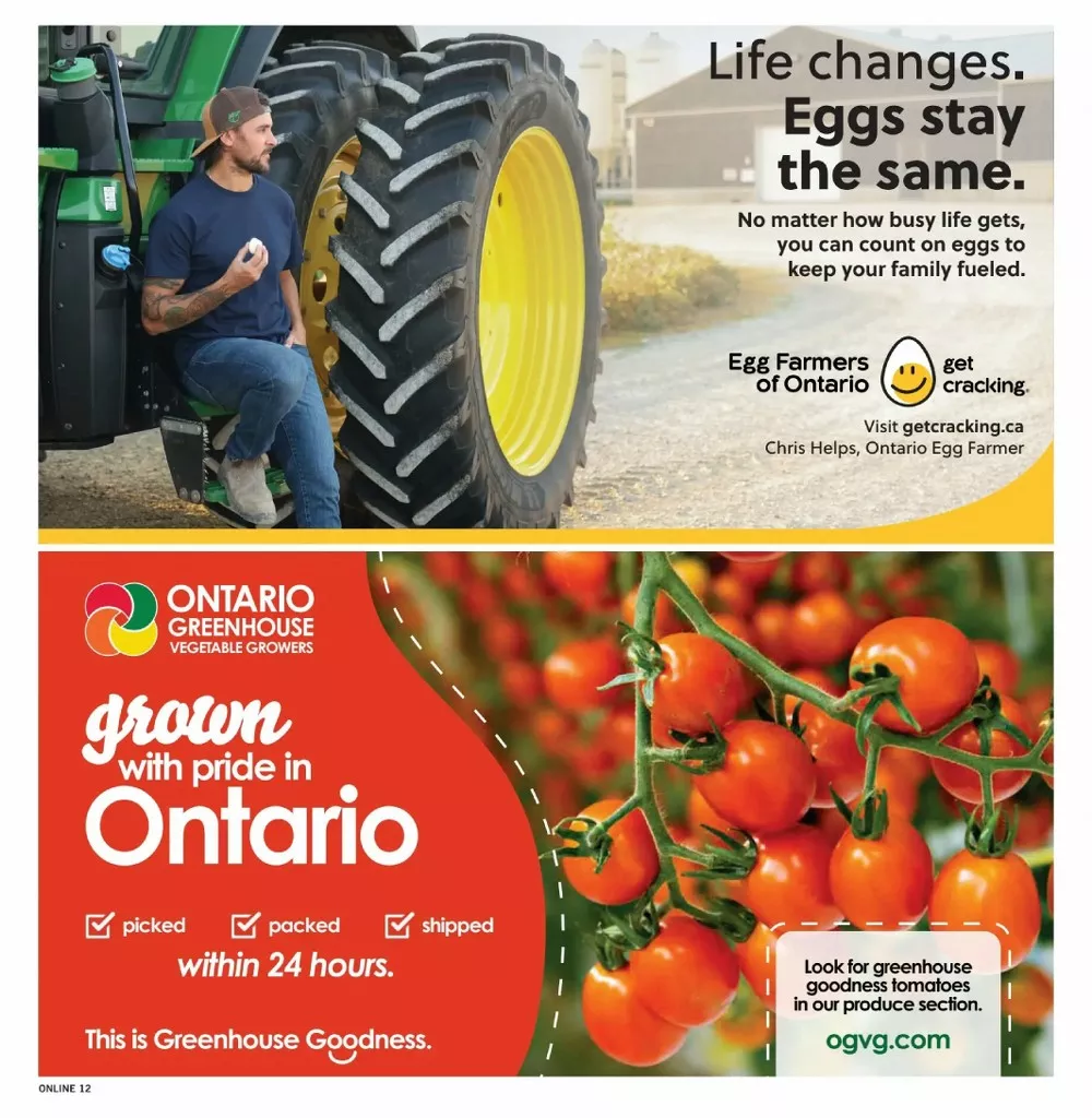fortinos flyer july 30 august 5 13 23855990