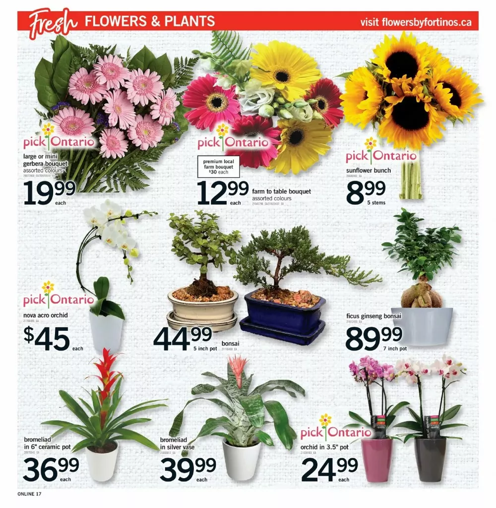 fortinos flyer july 9 15 17 63256745