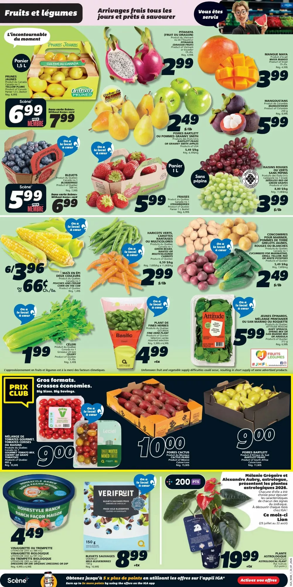 iga flyer july 30 august 5 3 40508772