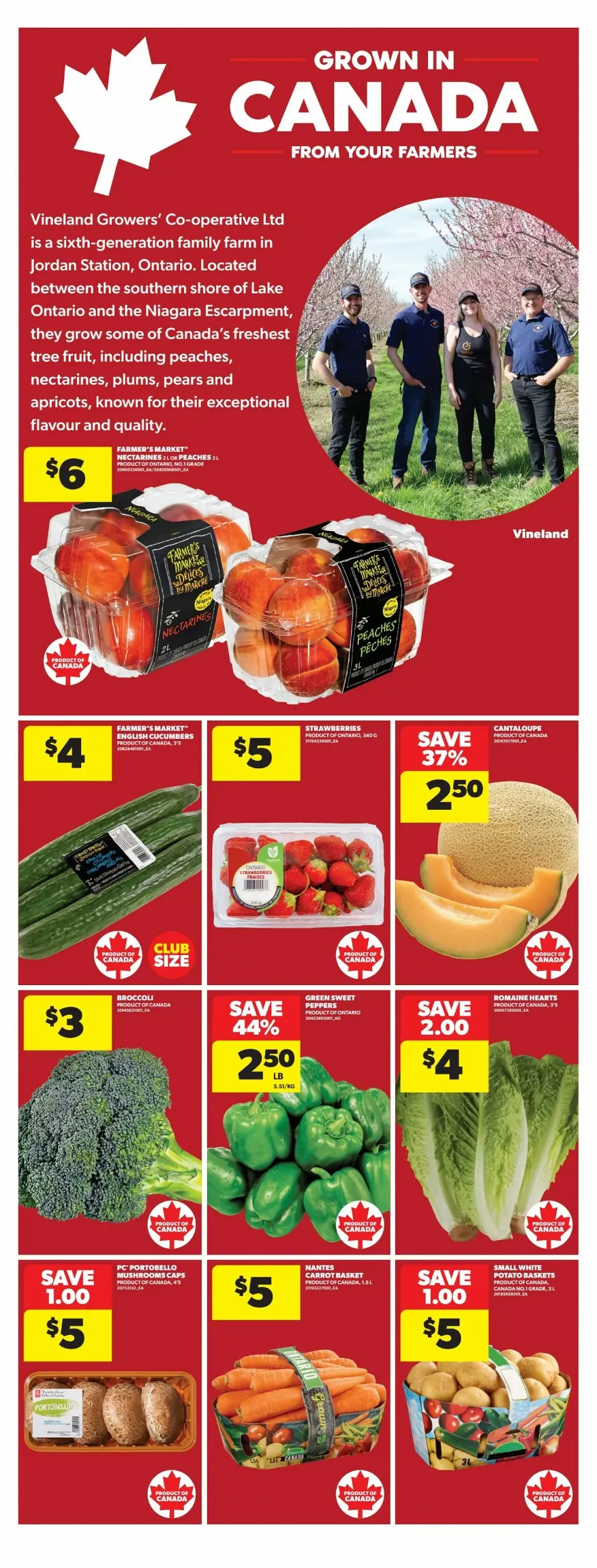 real canadian flyer on july 3 august 5 18 77707022