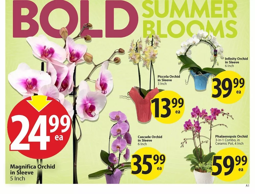 save on foods flyer july 16 22 6