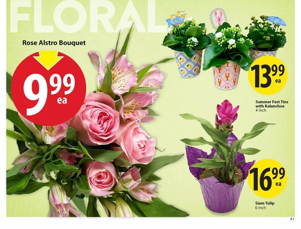 save on foods flyer july 23 29 6