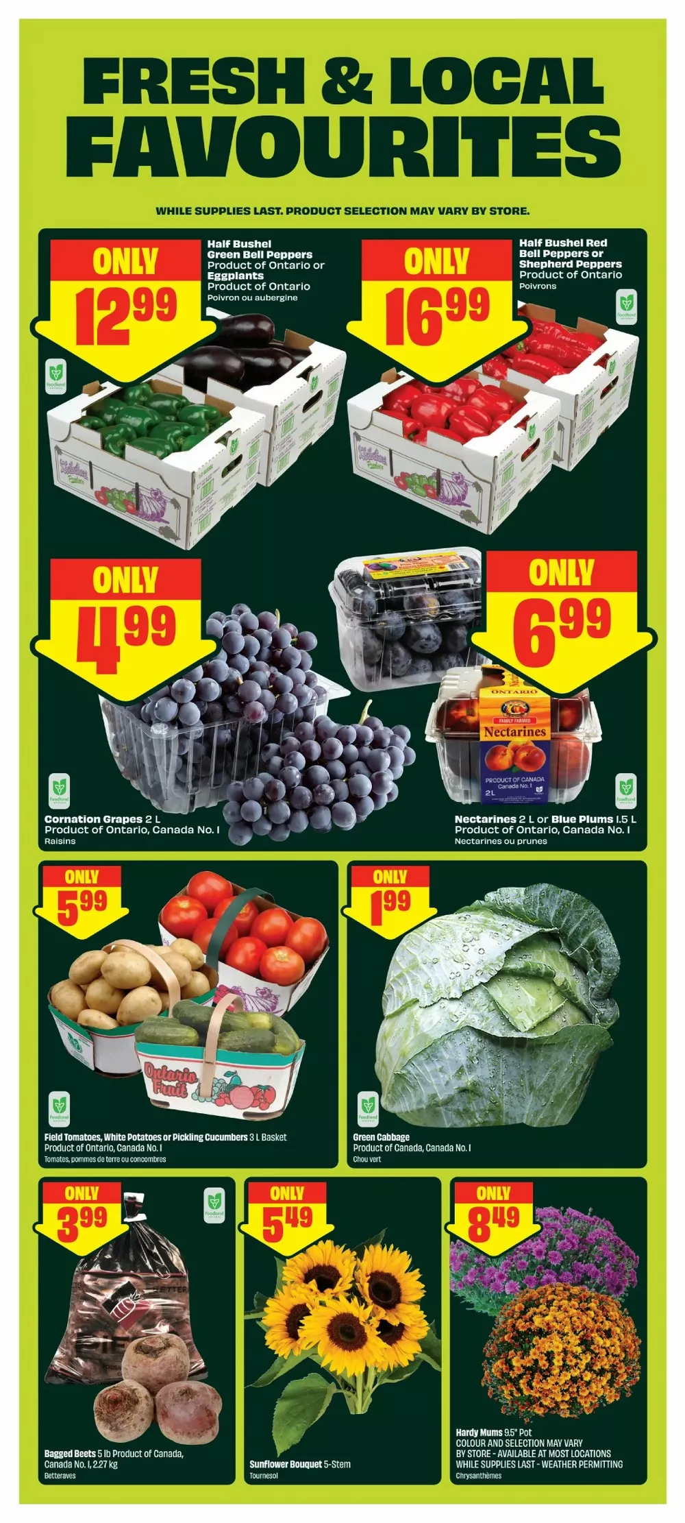 chalo freshco flyer august 27 september 2 5 15065615