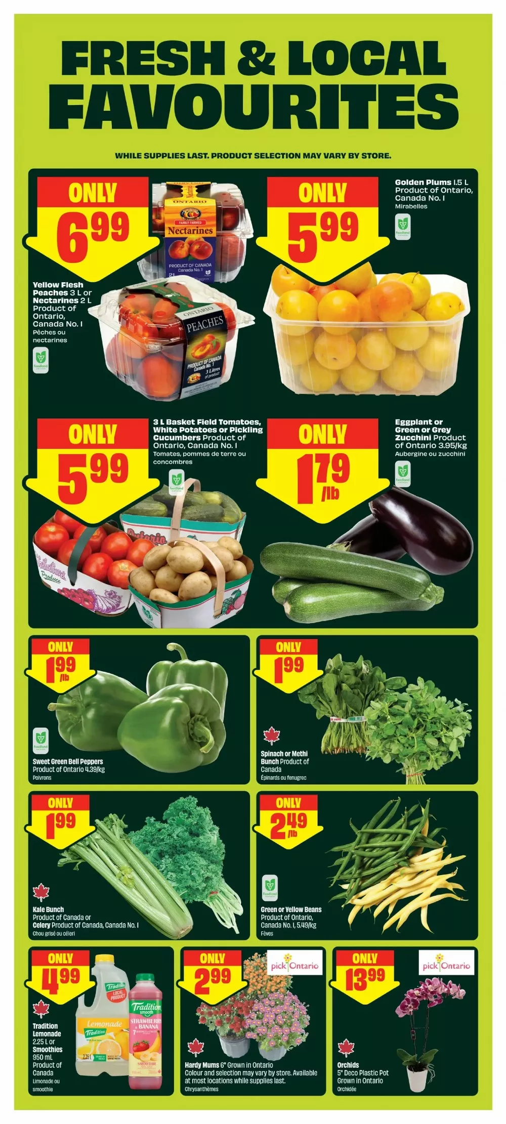 chalo freshco flyer august 6 12 5 61330178