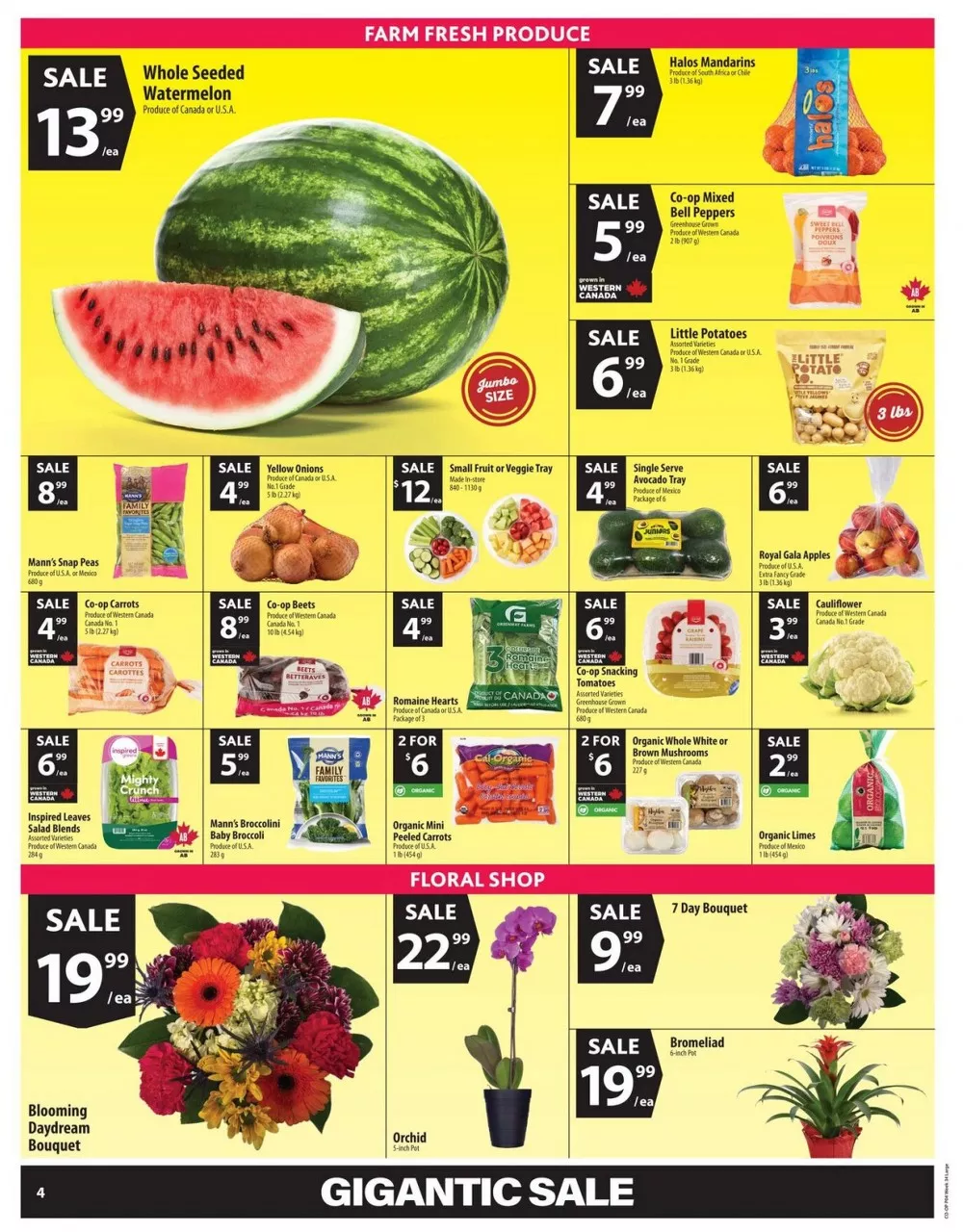co op flyer august 20 26 7