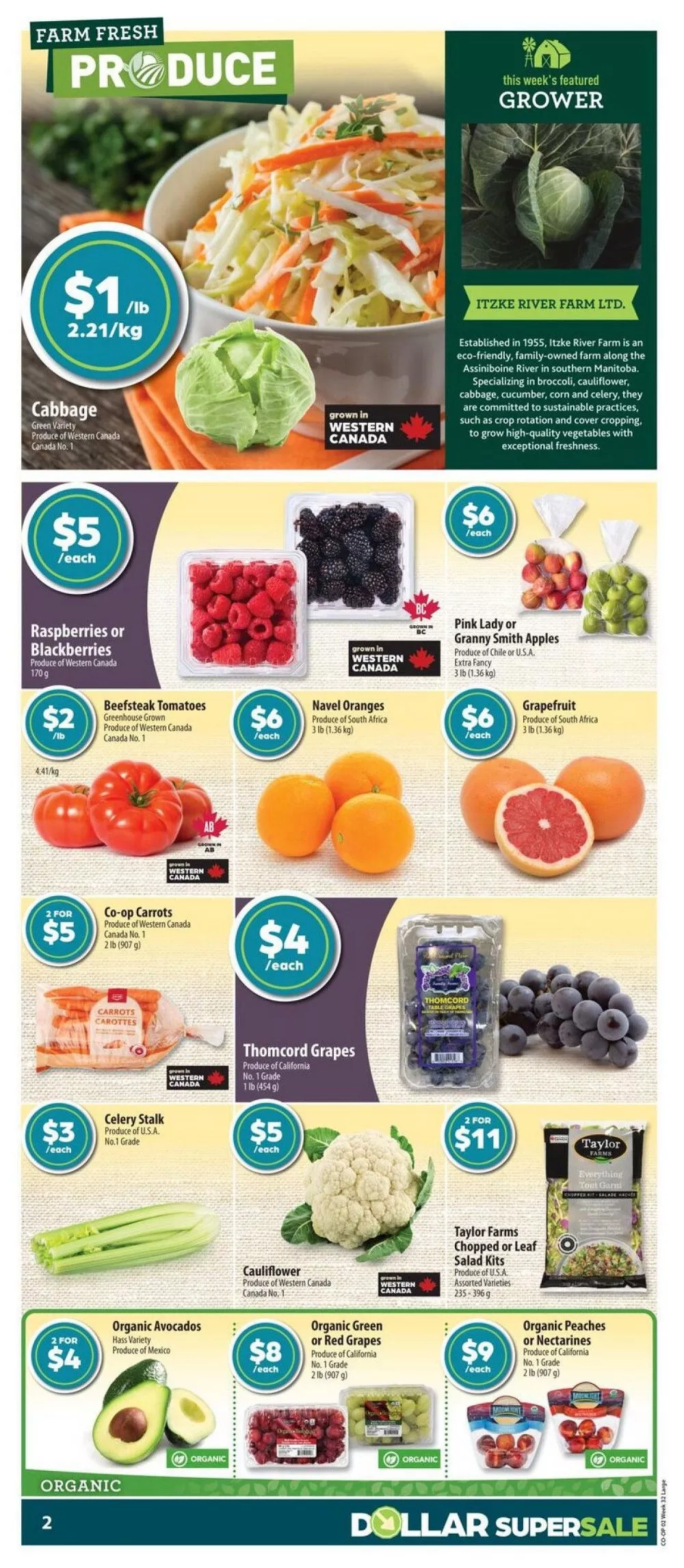 co op flyer week 32 4