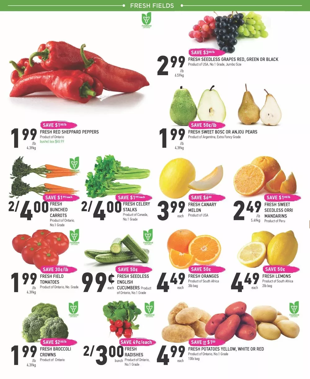 coppas flyer sept 3 9 2