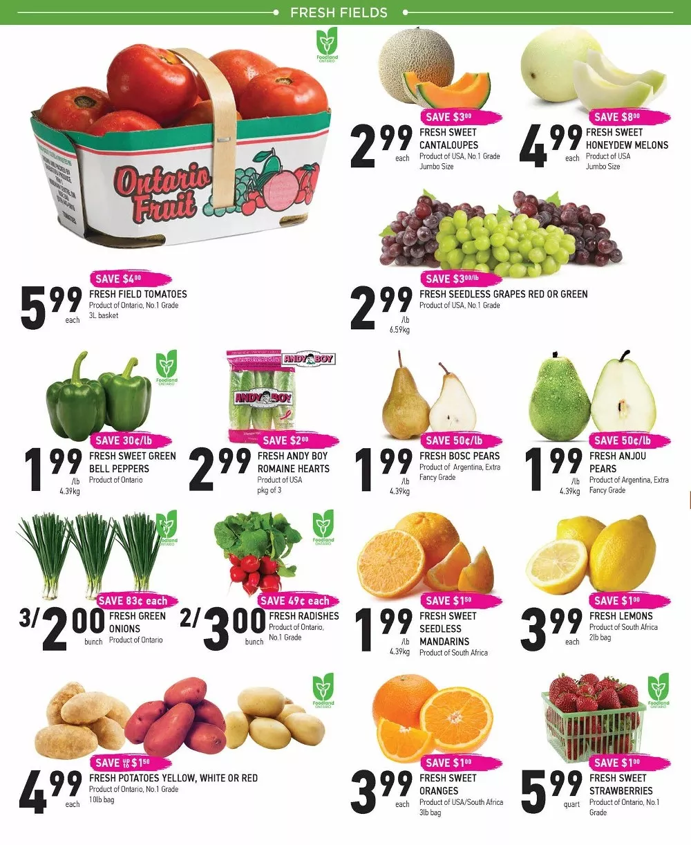 coppas flyer week 34 2