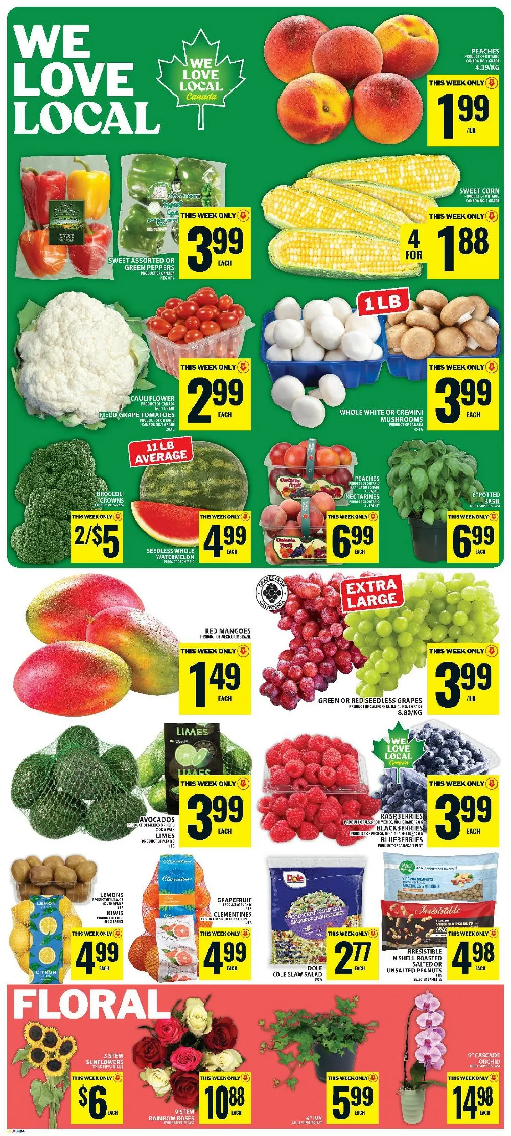 food basics flyer august 13 19 3 01575561
