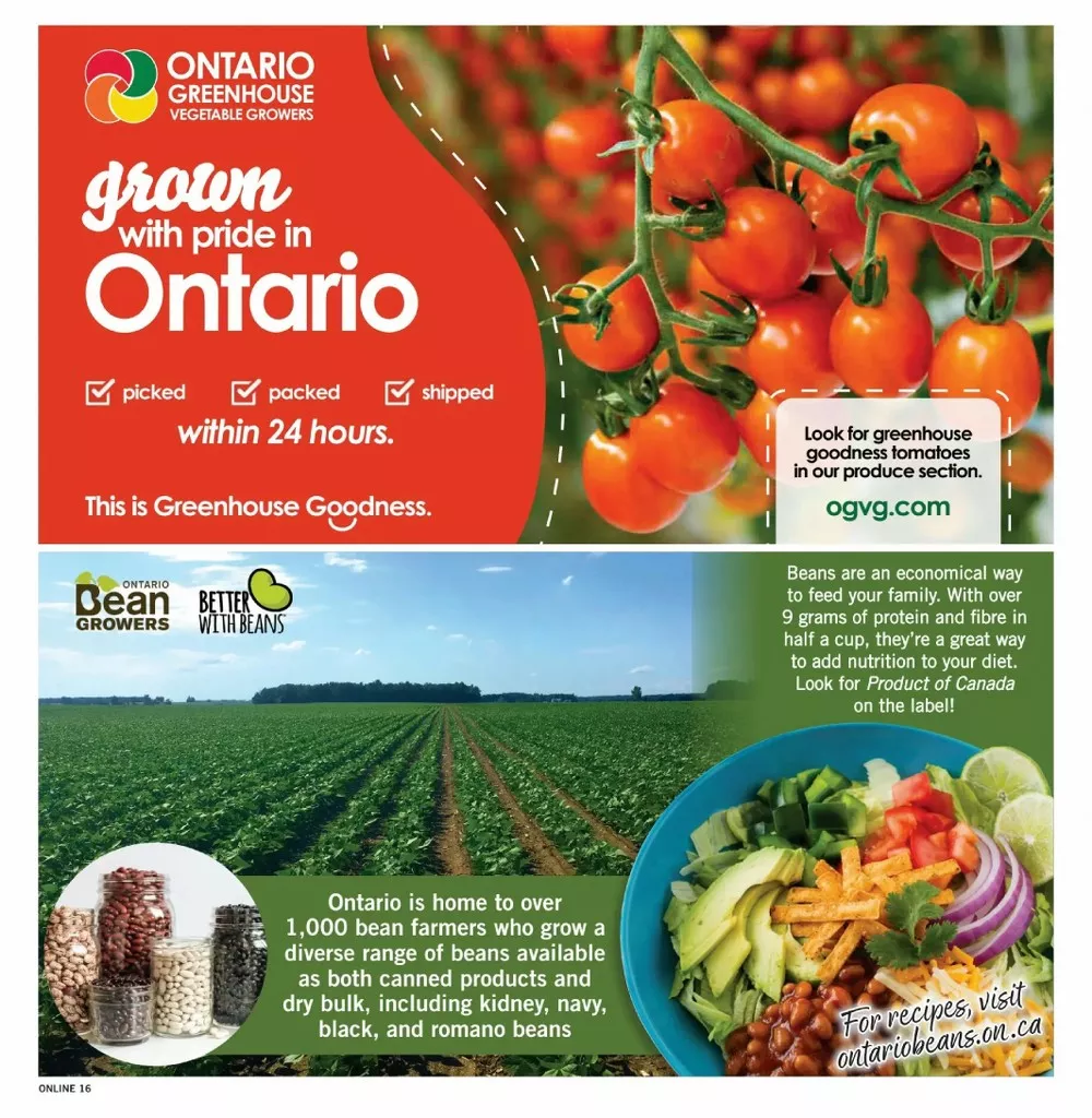 fortinos flyer august 13 19 16 01814502