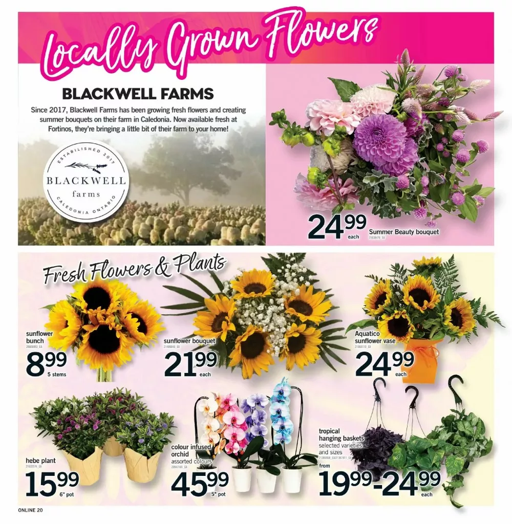 fortinos flyer august 13 19 20 35899084
