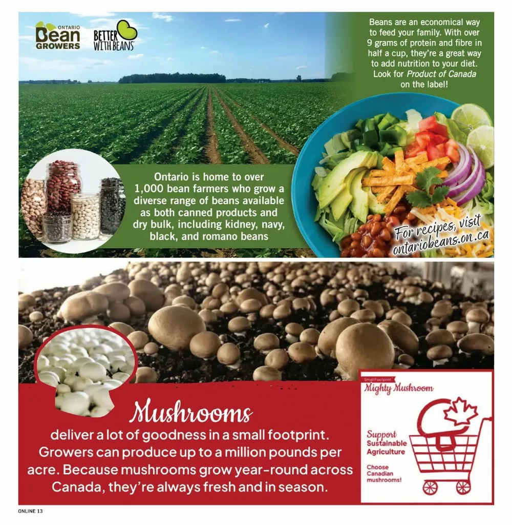 fortinos flyer august 6 12 13 50638949
