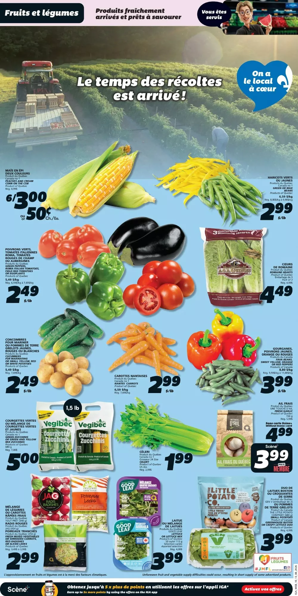 iga flyer august 13 19 4 65542674