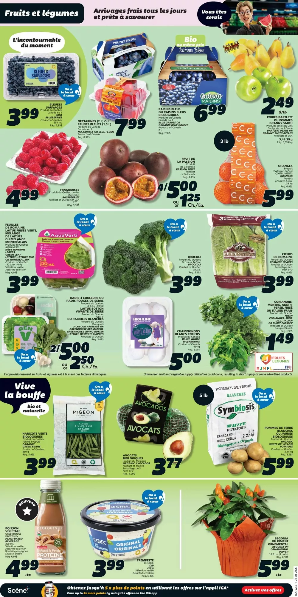 iga flyer august 20 26 3 64620078