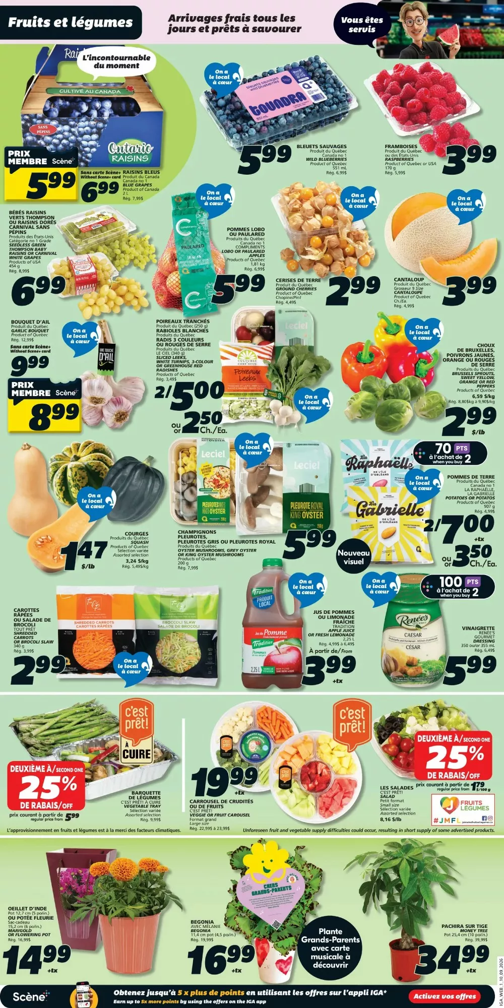 iga flyer september 10 16 4 09044469