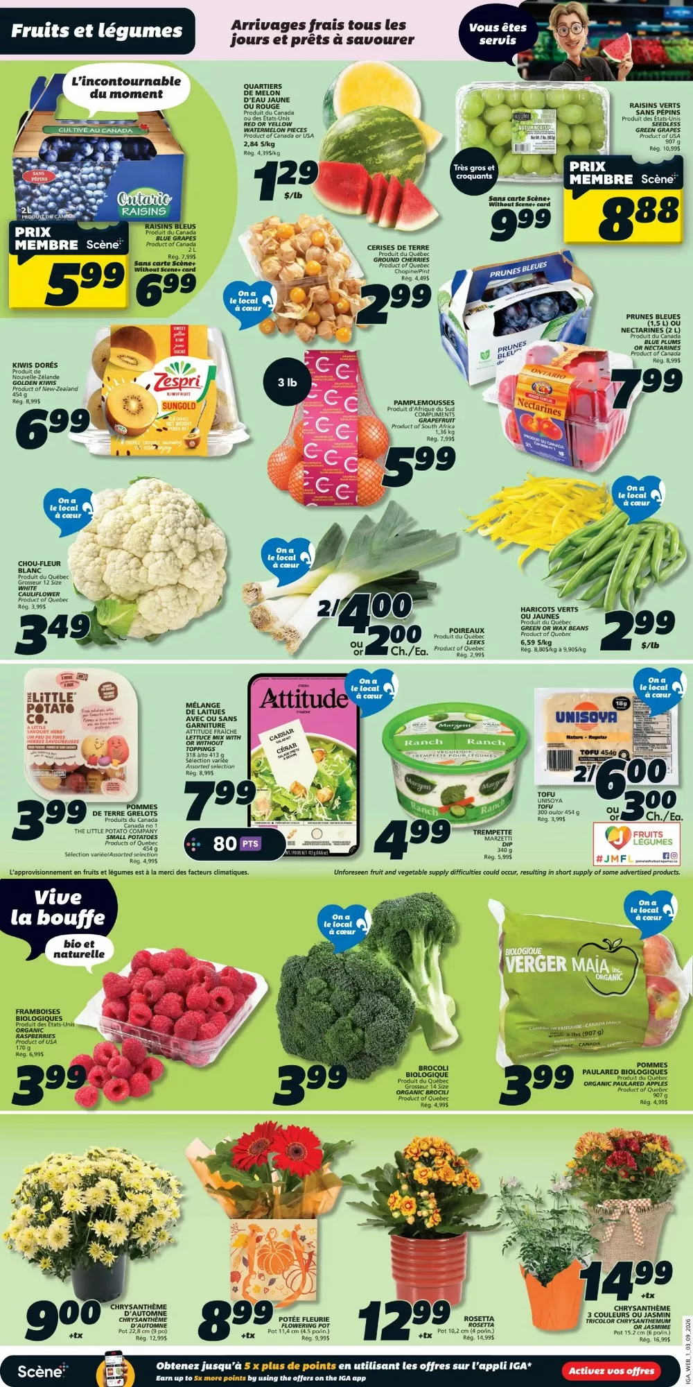 iga flyer september 3 9 6 51592269