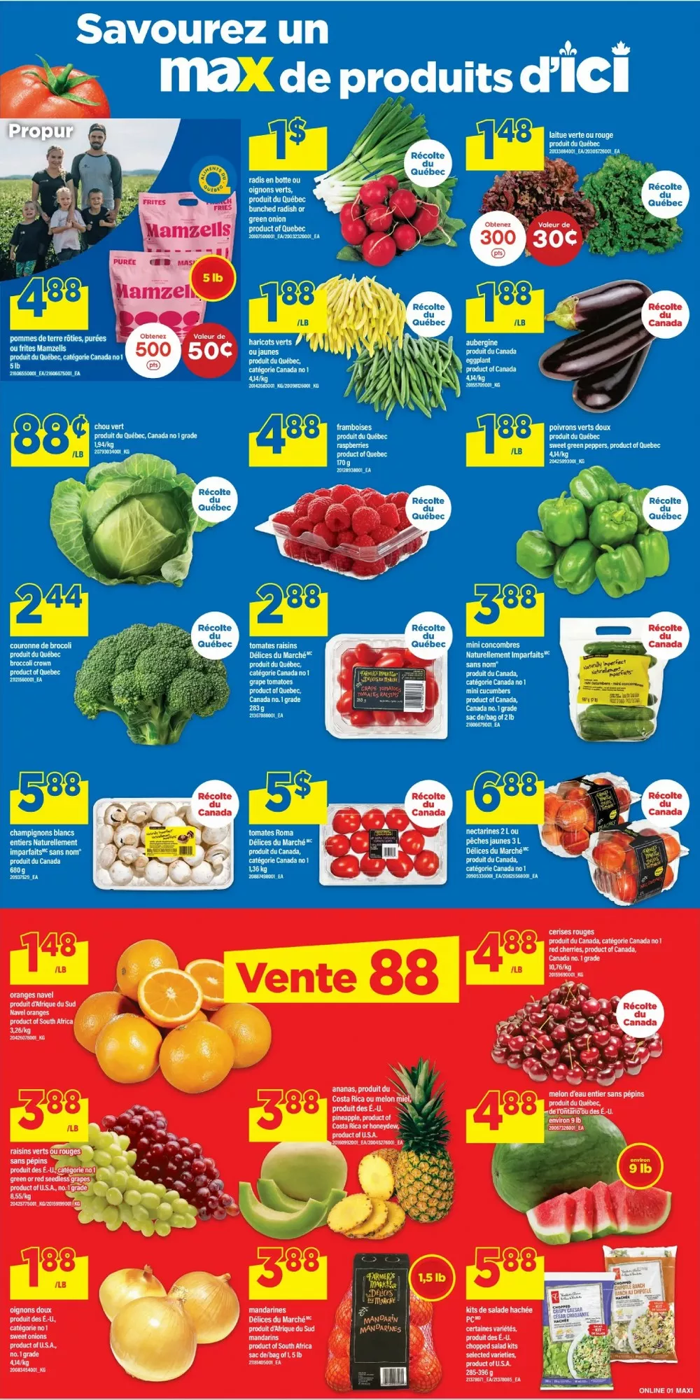 maxi flyer august 13 19 4 75502655