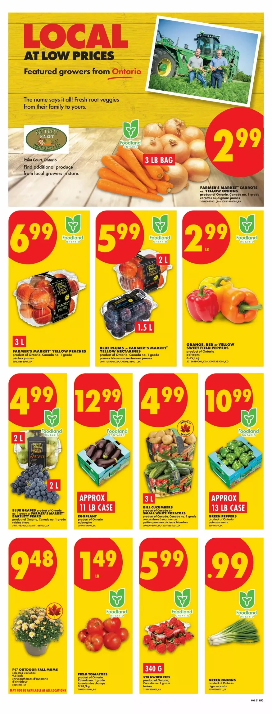 no frills flyer ont august 27 september 2 3 08082135