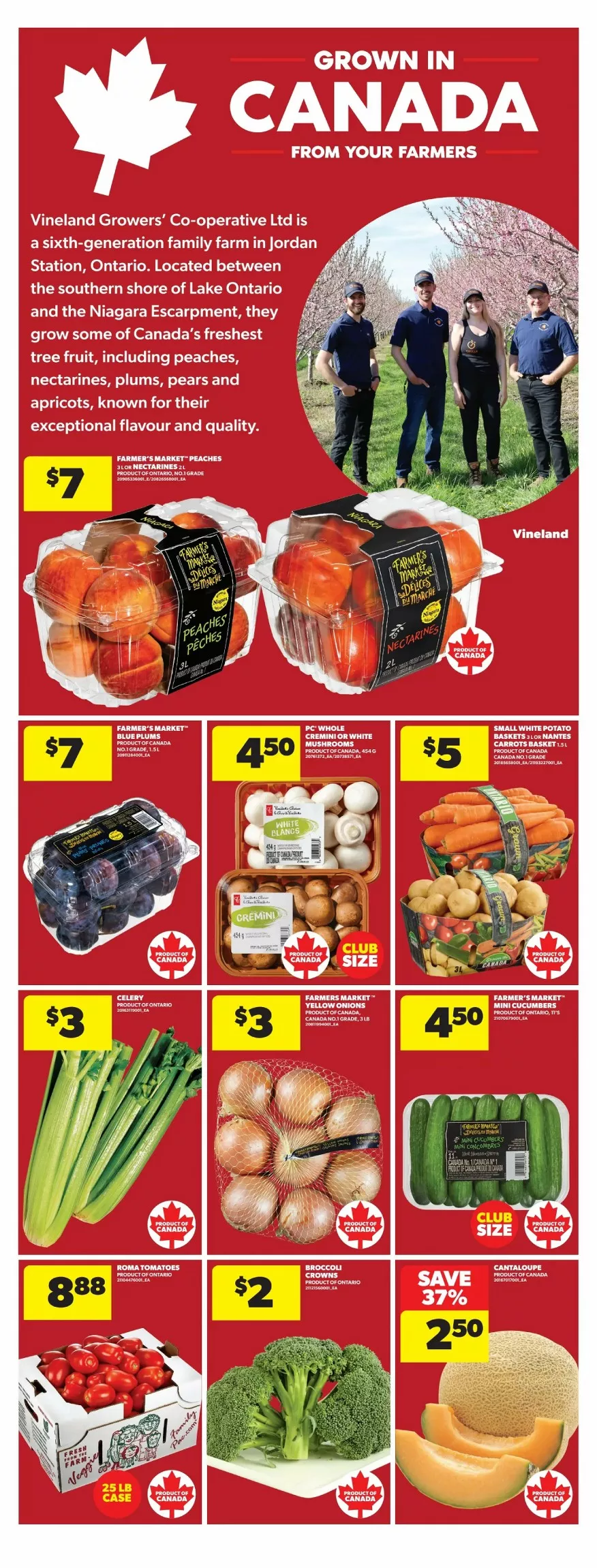 real canadian superstore flyer ont august 20 26 14 94910295