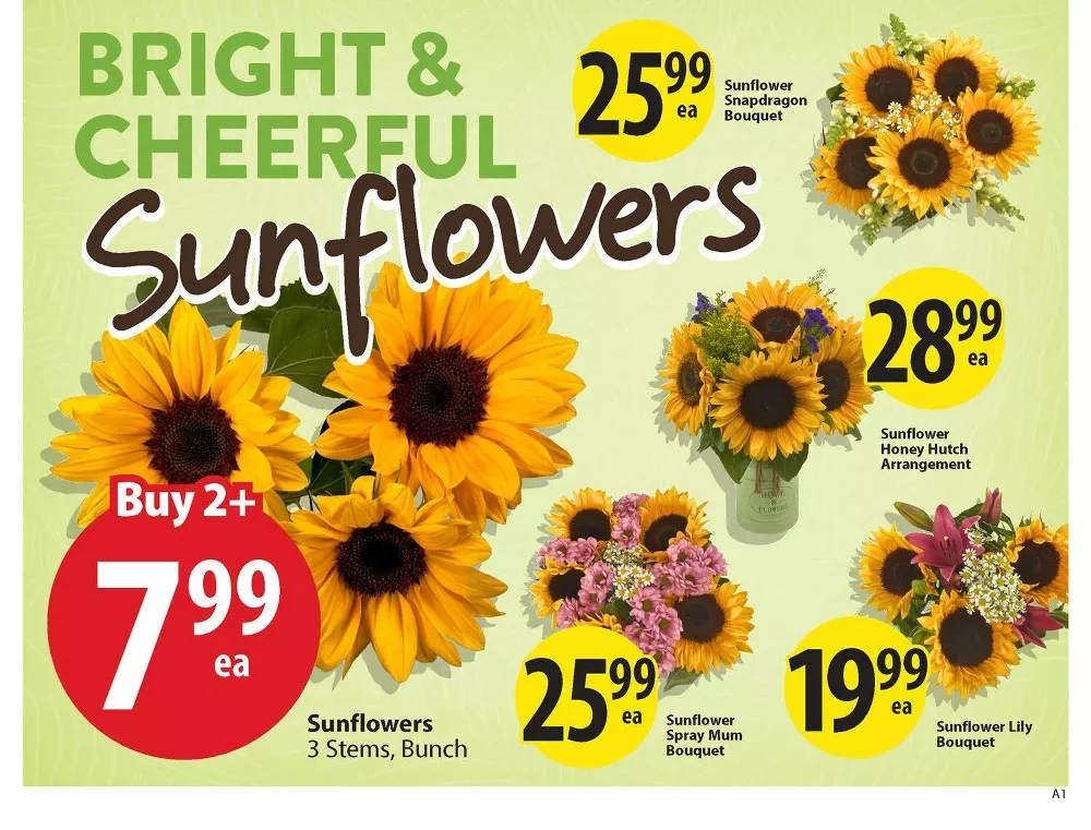 save on foods flyer august 13 19 8