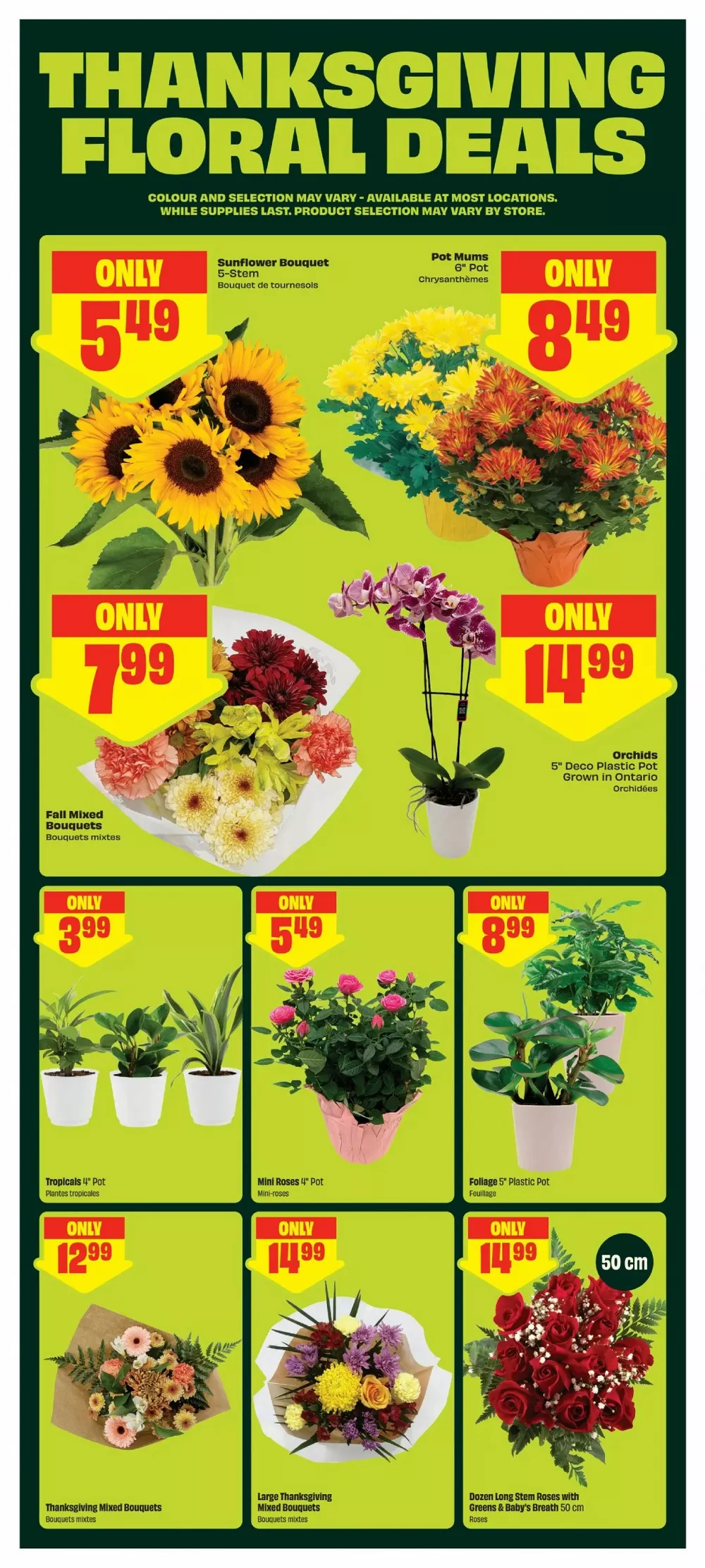 chalo freshco flyer october 1 7 6 301