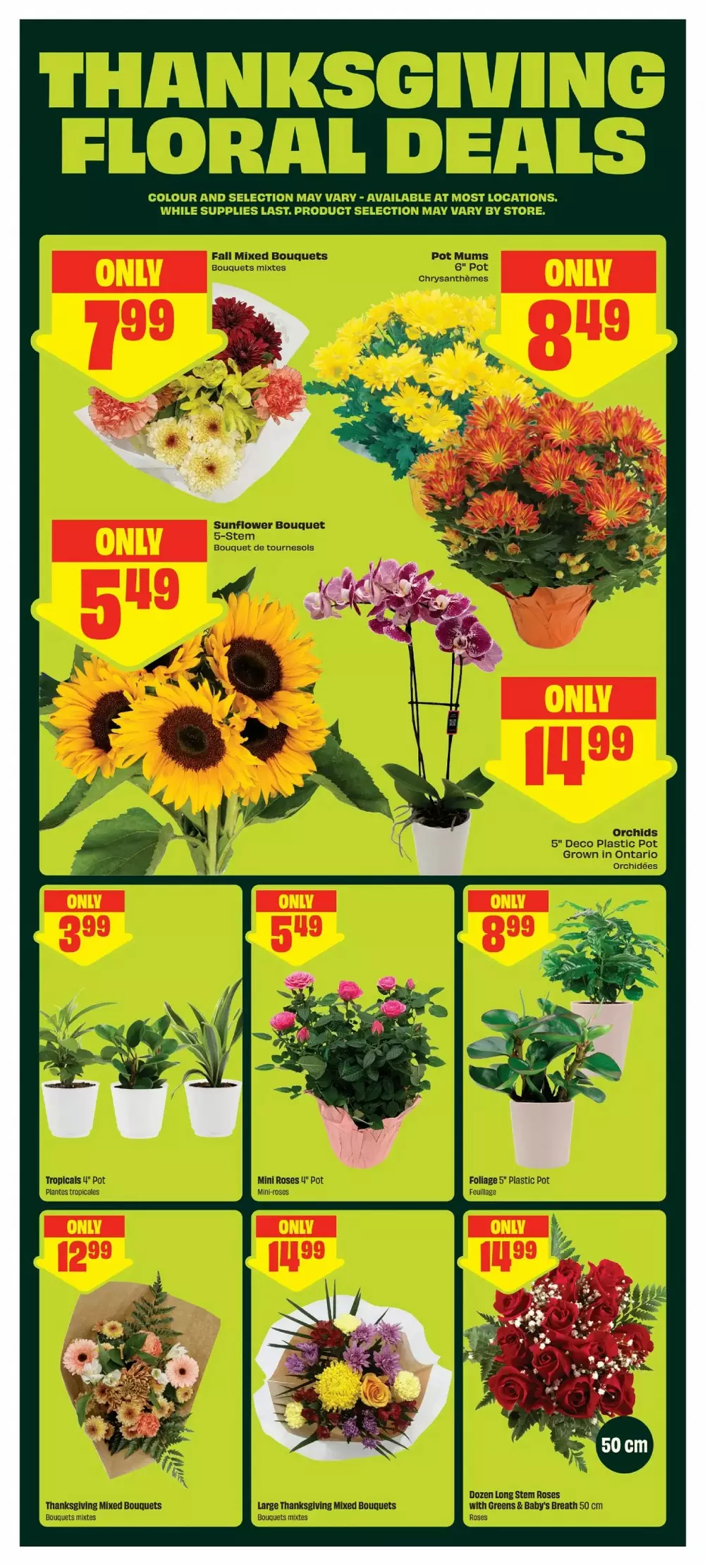 chalo freshco flyer october 8 14 6