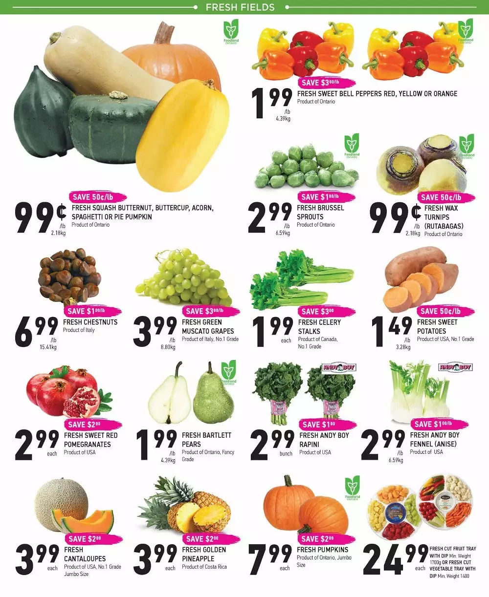 coppas flyer october 8 14 2
