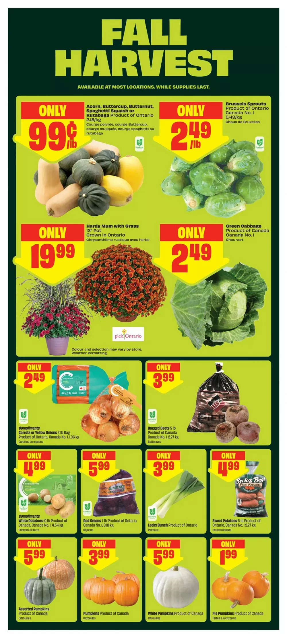 freshco flyer september 17 23 5 900