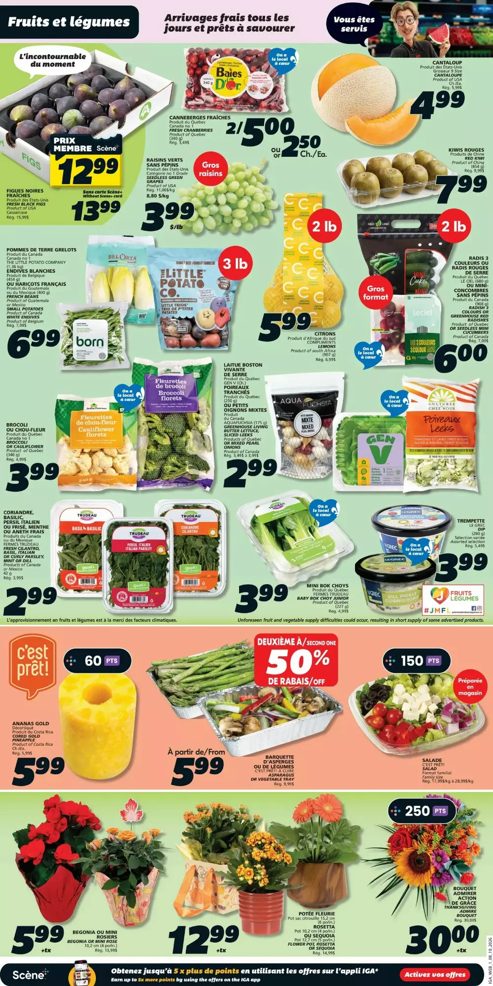 iga flyer october 8 14 3 517