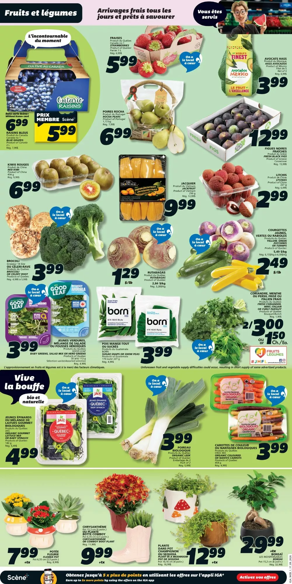 iga flyer september 17 23 week 38 3 850