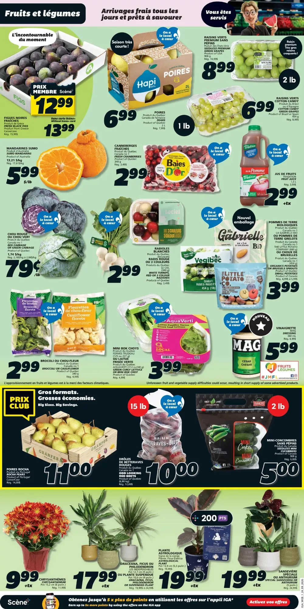 iga flyer september 24 30 3 970