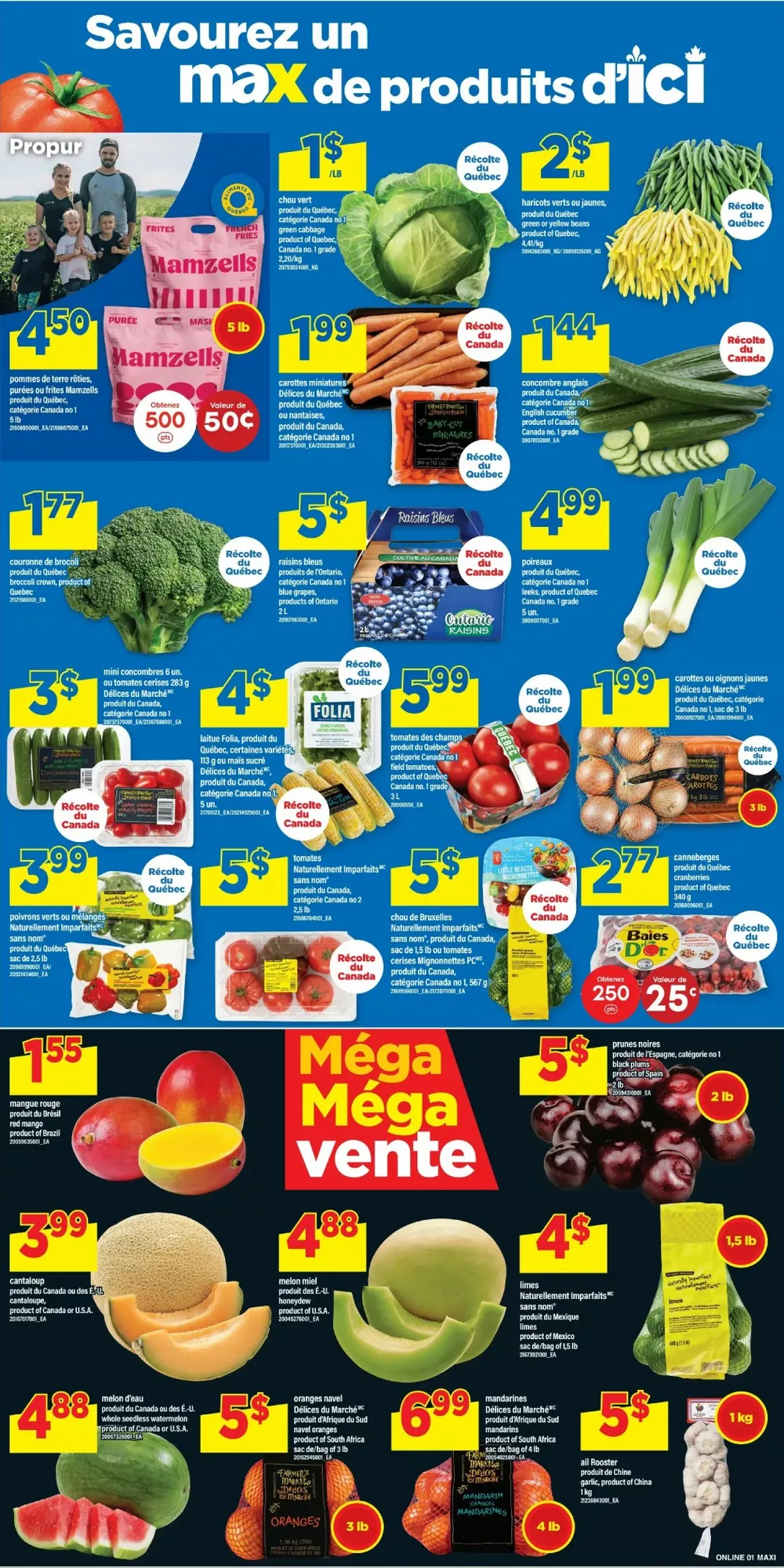 maxi flyer september 17 23 week 38 5 484