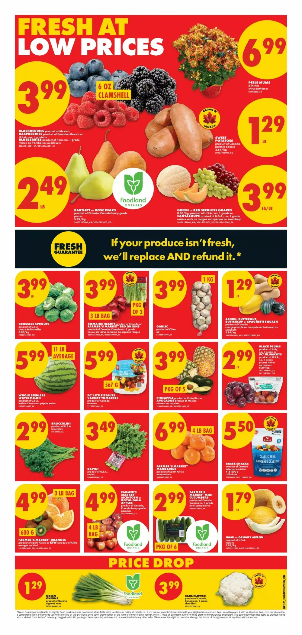 no frills flyer on october 1 7 2 771