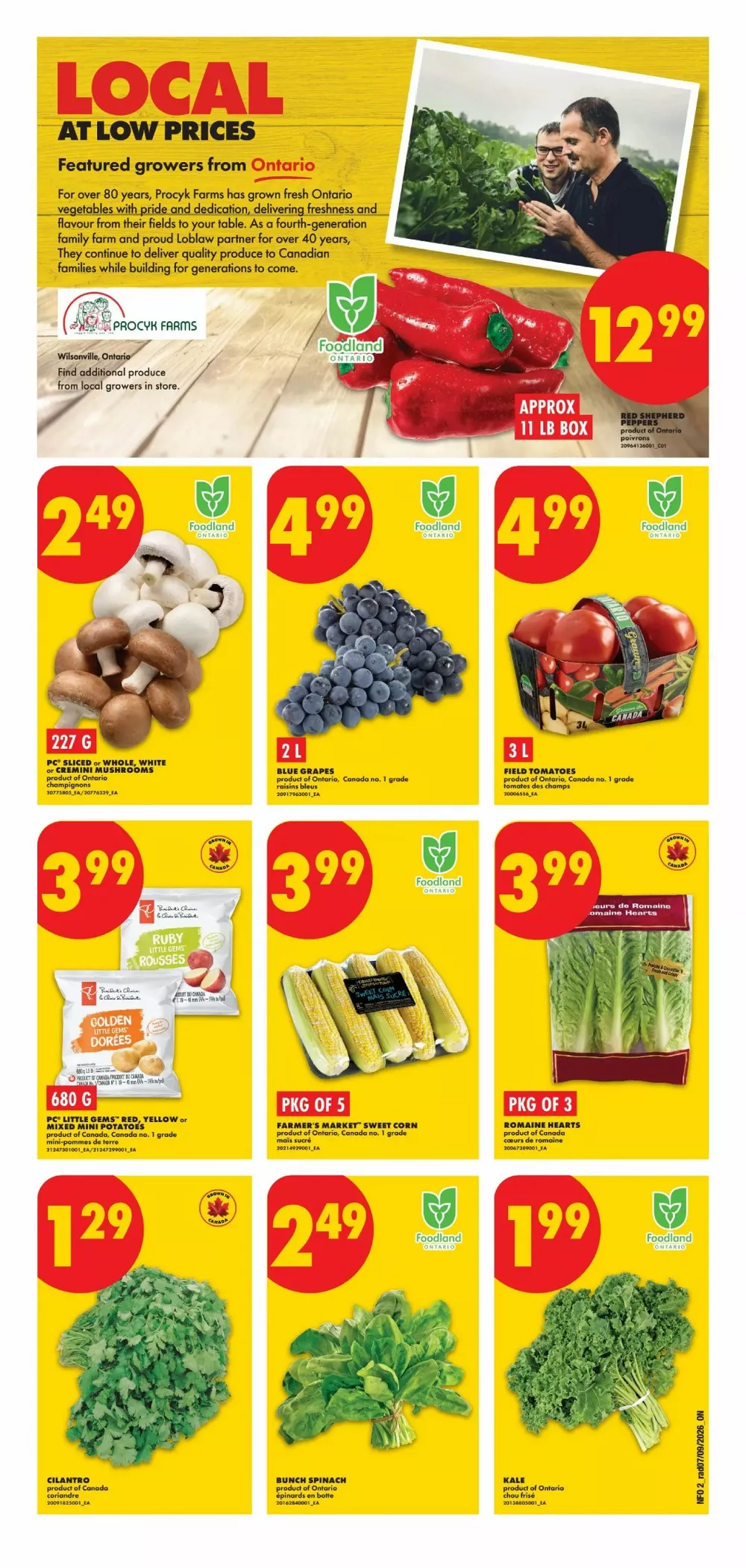 no frills flyer on september 10 16 2 128