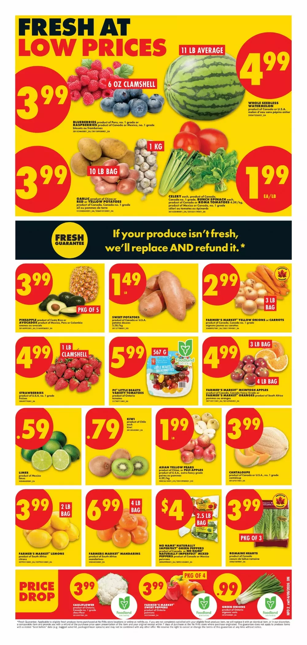 no frills flyer on september 17 23 3 279