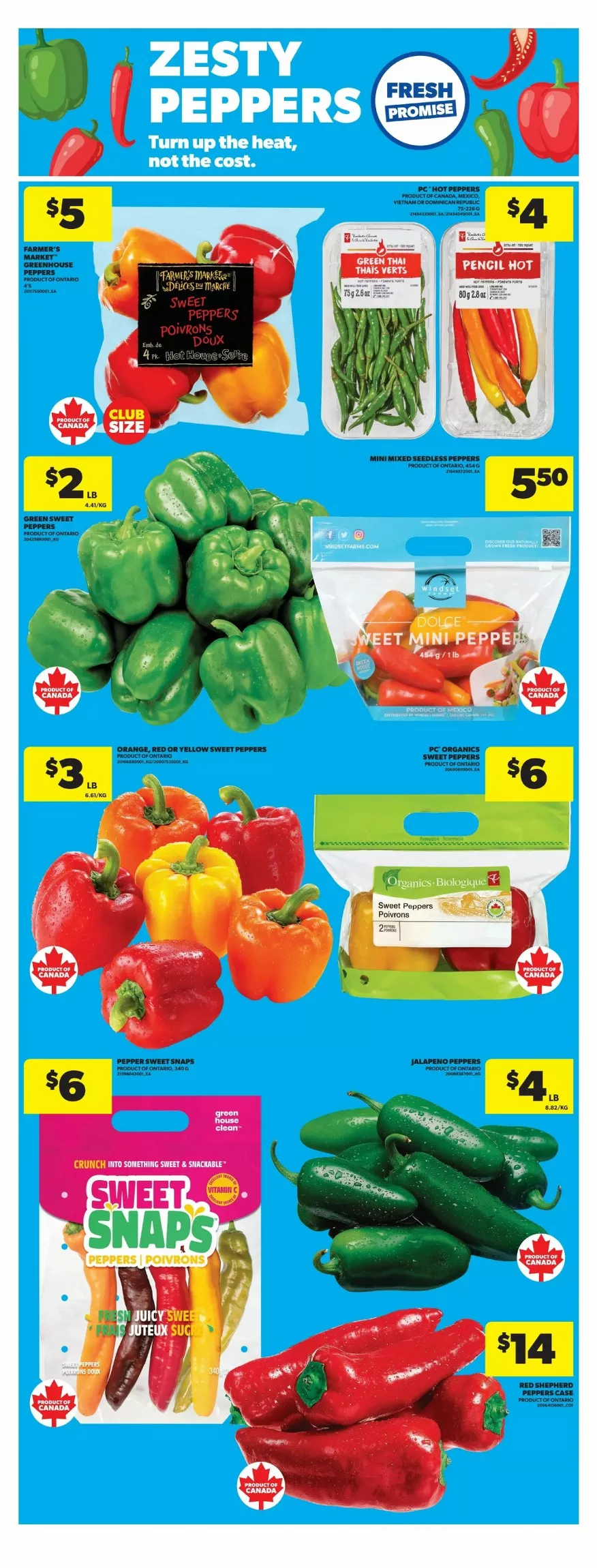 real canadian flyer ont september 10 16 10 716