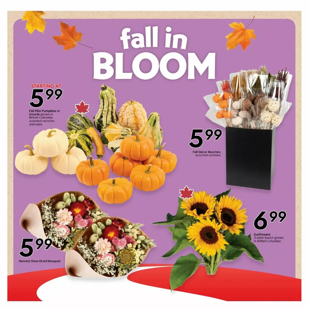 safeway flyer bc september 10 16 8 488
