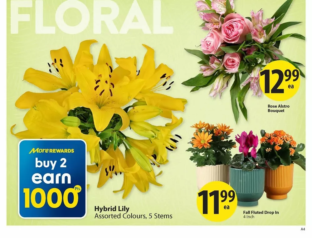 save on foods flyer september 17 23 5 439