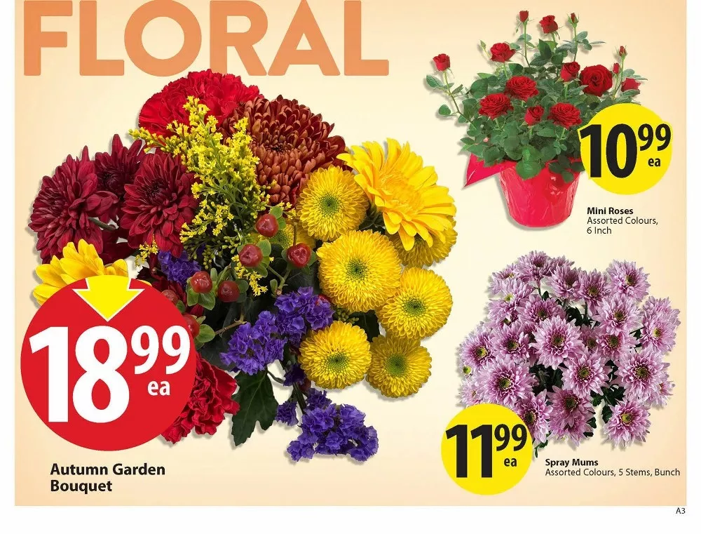save on foods flyer september 24 5