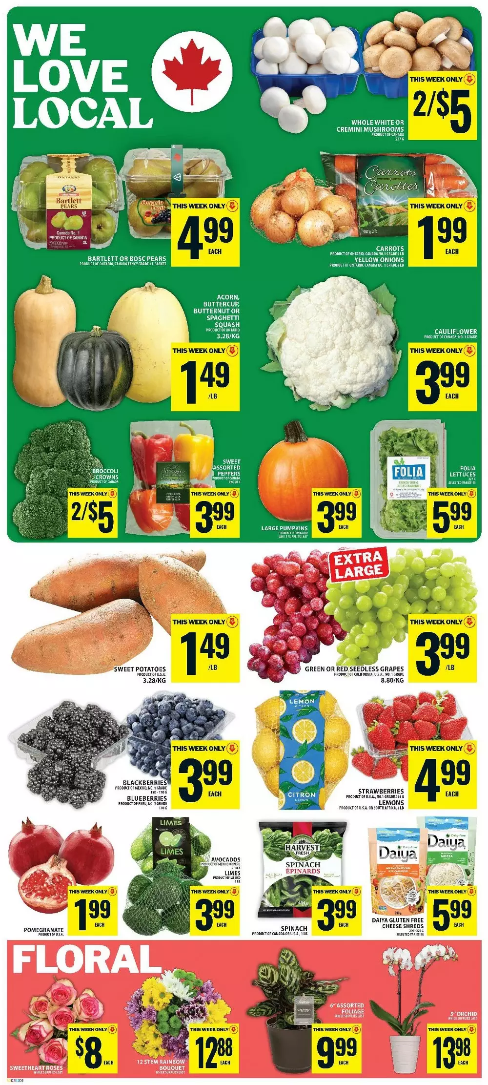 food basics flyer october 15 21 3
