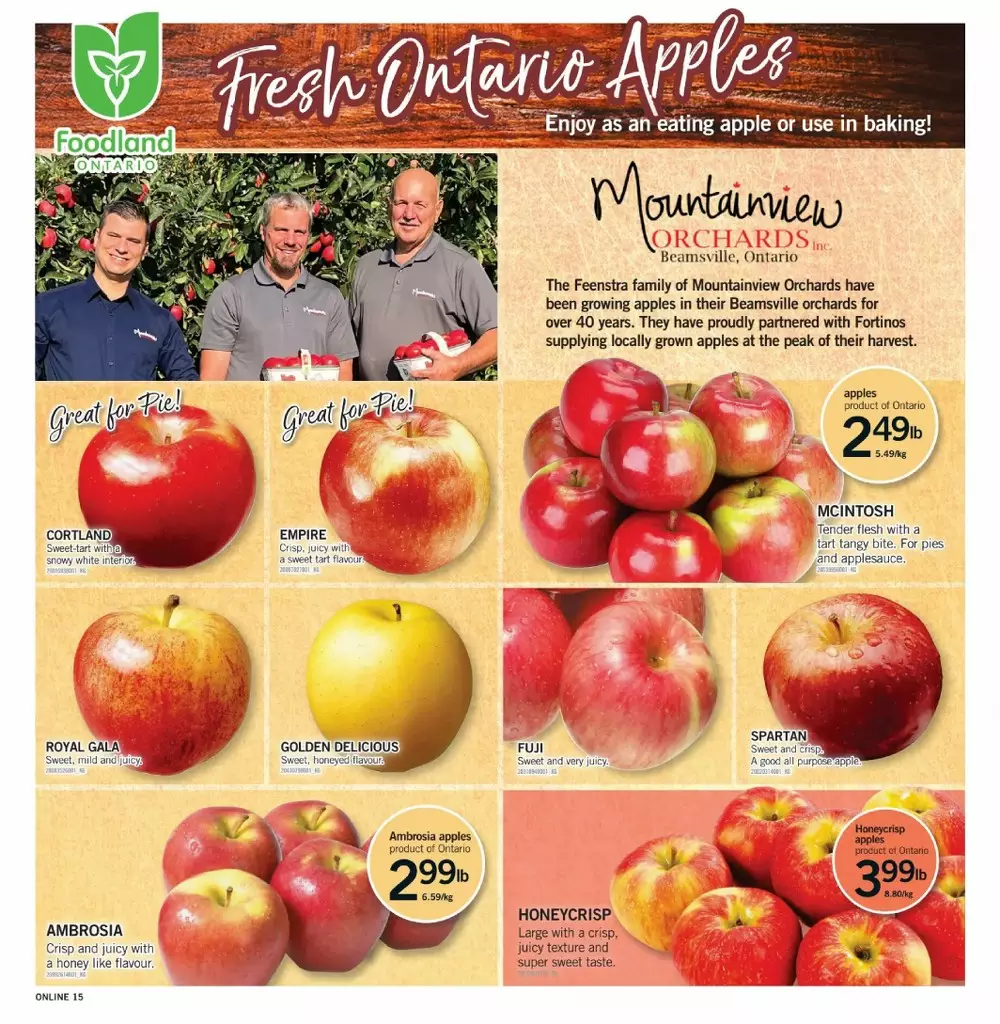 fortinos flyer october 22 28 13 563