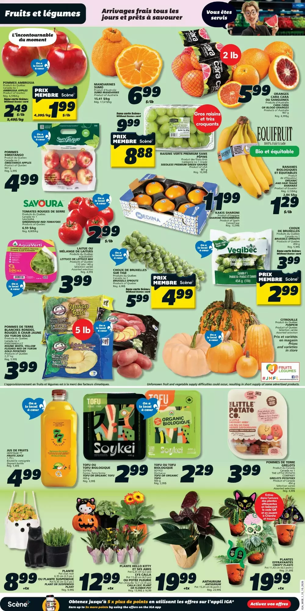 iga flyer october 15 21 3 301