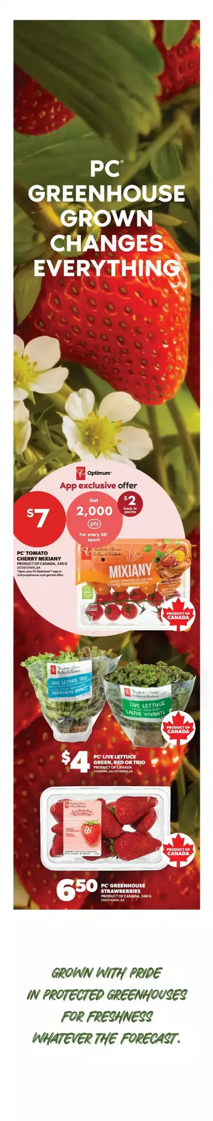 real canadian superstore flyer on october 15 21 7 779