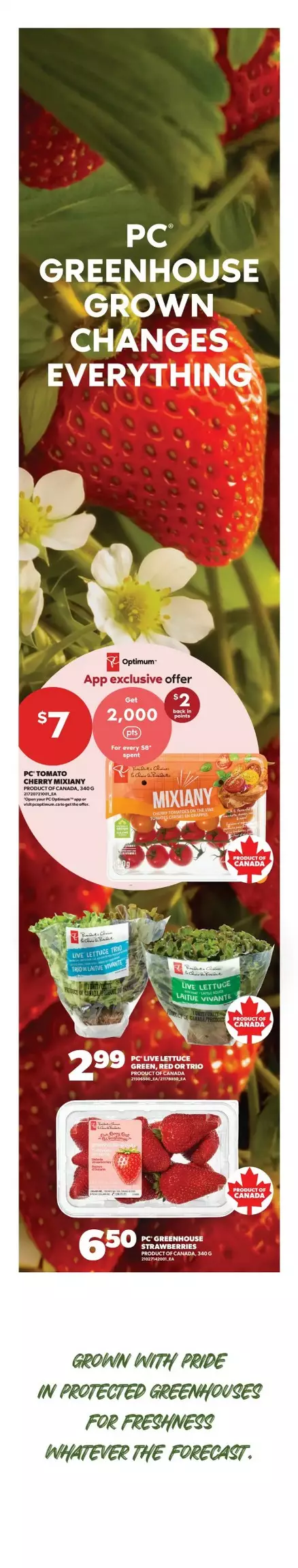 real canadian superstore flyer west october 15 21 7 251