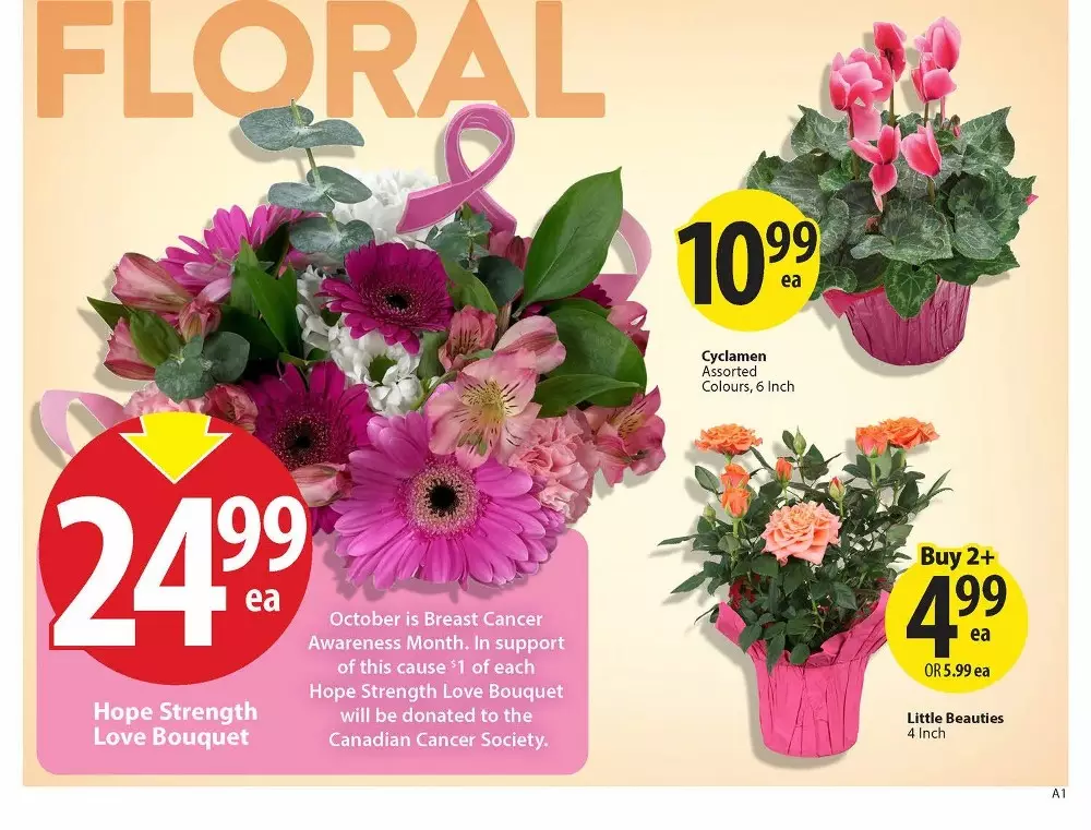save on foods flyer october 15 21 4