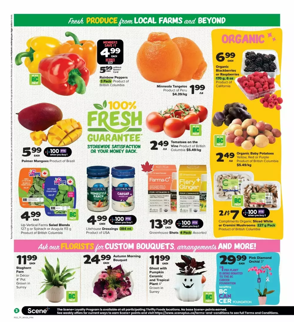 thrifty flyer october 22 28 5 743